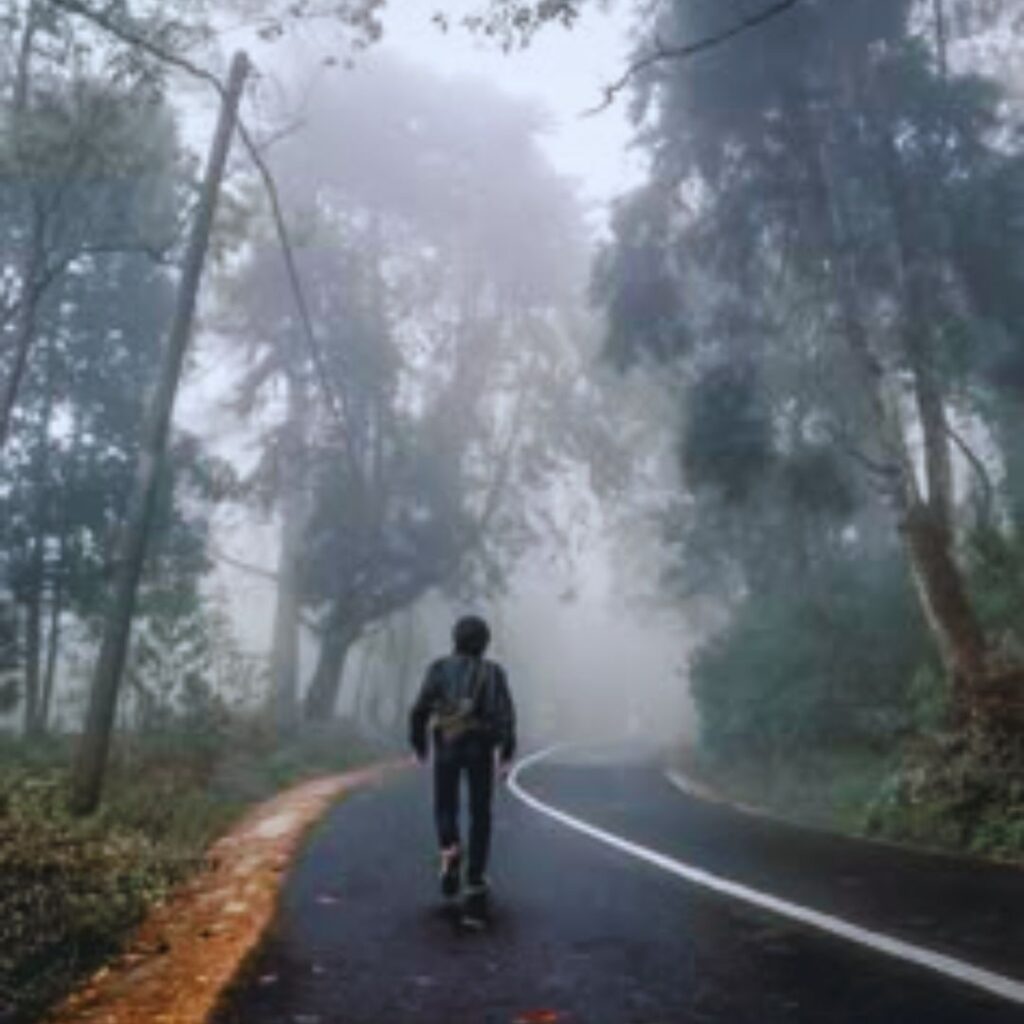 Busca-própria-identidade-uma-caminhada-sem-fim-transformação-mudança